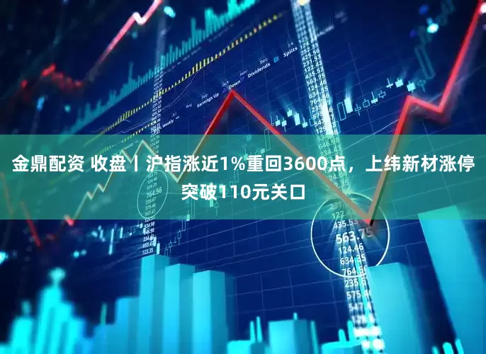 金鼎配资 收盘丨沪指涨近1%重回3600点，上纬新材涨停突破110元关口