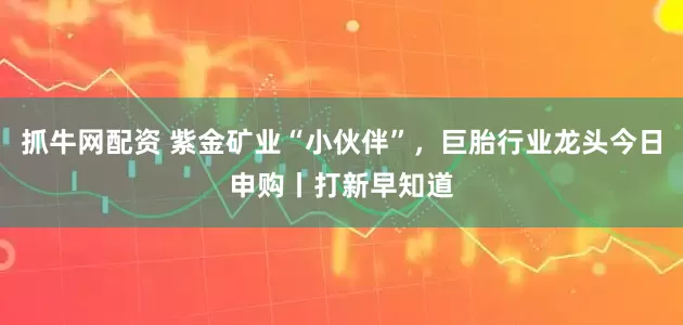 抓牛网配资 紫金矿业“小伙伴”，巨胎行业龙头今日申购丨打新早知道