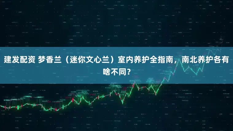 建发配资 梦香兰（迷你文心兰）室内养护全指南，南北养护各有啥不同？